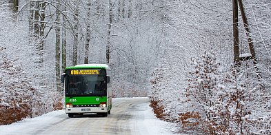 Zmiany w kursowaniu autobusów PKS w okresie świąteczno--47248
