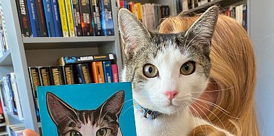 Złodziej kota z biblioteki usłyszał wyrok-47533