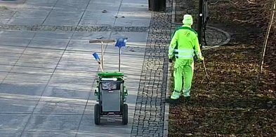 Wiosenne porządki pod kontrolą - strażnicy przypominają