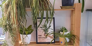 Oddaj, wymień, zabierz – zielony punkt adopcji