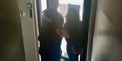 15-latka zatrzymana po ataku na rówieśnika