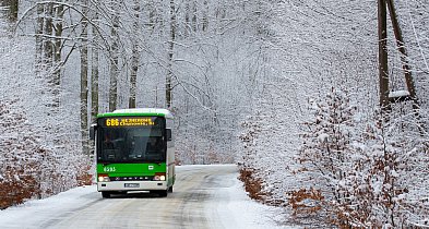 Zmiany w kursowaniu autobusów PKS w okresie świąteczno-noworocznym-47248