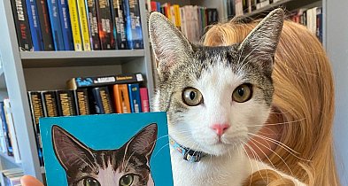 Sprawa próby kradzieży kota z biblioteki doczekała się finału-47533