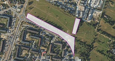 Rumia łapie deszcz i tworzy park