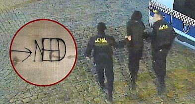 Wandalizm i alkohol wśród nieletnich. Seria interwencji Straży Miejskiej