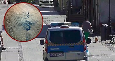 Strażnicy miejscy zatrzymali mężczyznę z farbą w sprayu