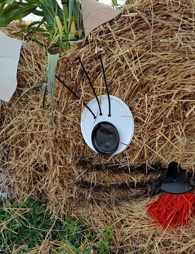Gwiazdy na Gminnych Dożynkach-45561