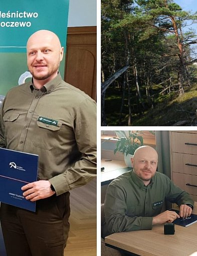 Osadzeni posprzątają lasy. Porozumienie aresztu z Nadleśnictwem