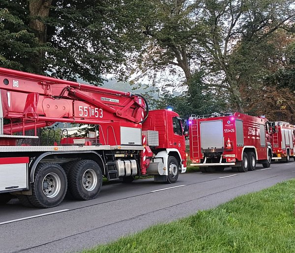 Pożar na terenie ogródków działkowych-45898