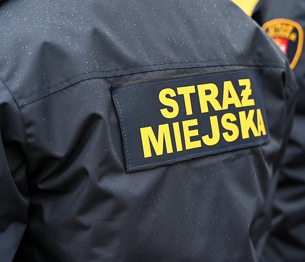 Zapuka strażnik, zapłacisz karę. Ruszyły kontrole w całej Polsce-46155