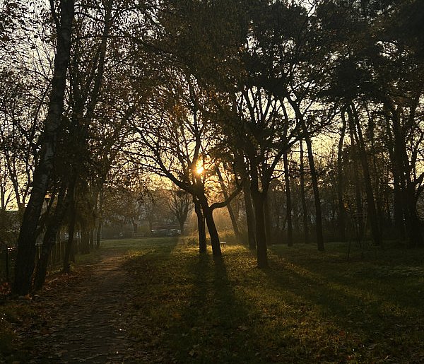 Nadchodzi najkrótszy dzień w 2025 roku. Sprawdź, kiedy przypadnie-47197
