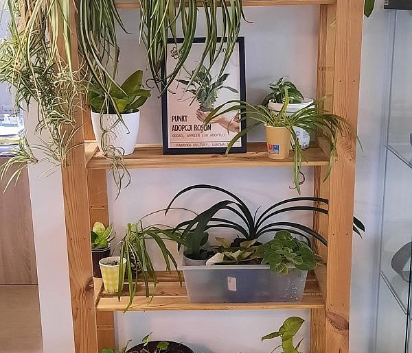 Oddaj, wymień, zabierz – zielony punkt adopcji