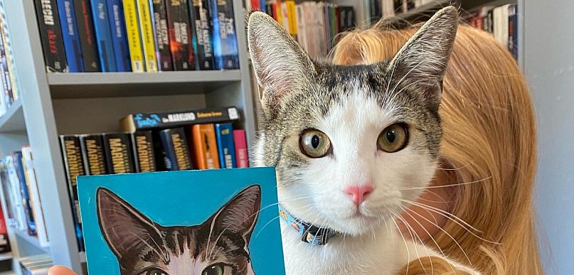 Sprawa próby kradzieży kota z biblioteki doczekała się finału
