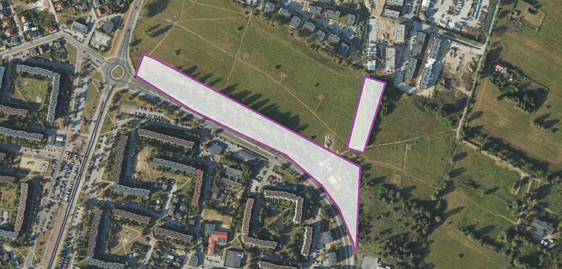 Rumia łapie deszcz i tworzy park