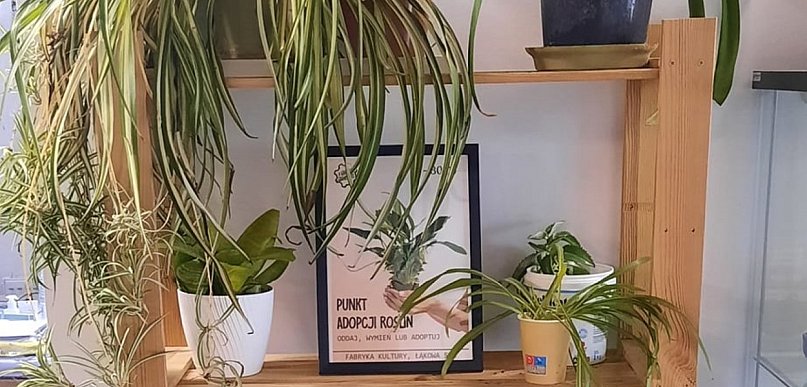 Oddaj, wymień, zabierz – zielony punkt adopcji