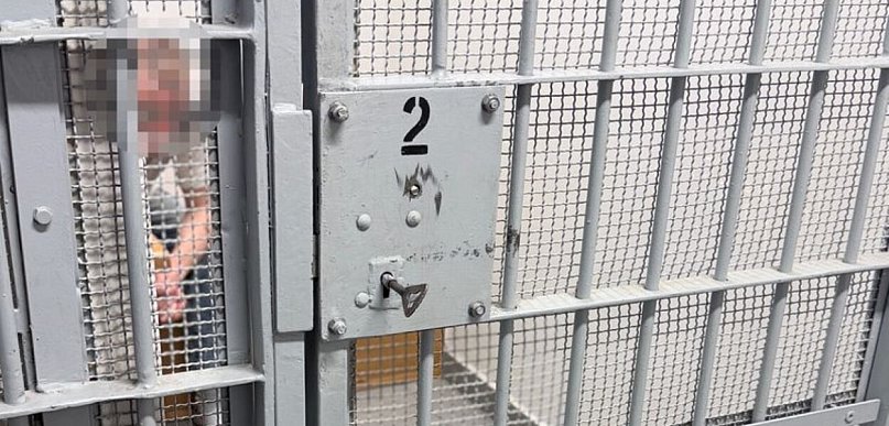 Zaczął się nerwowo zachowywać na widok radiowozu