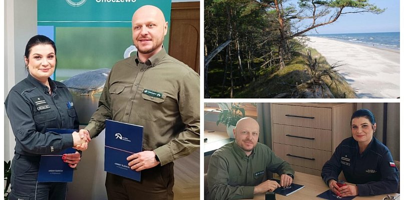 Osadzeni posprzątają lasy. Porozumienie aresztu z Nadleśnictwem