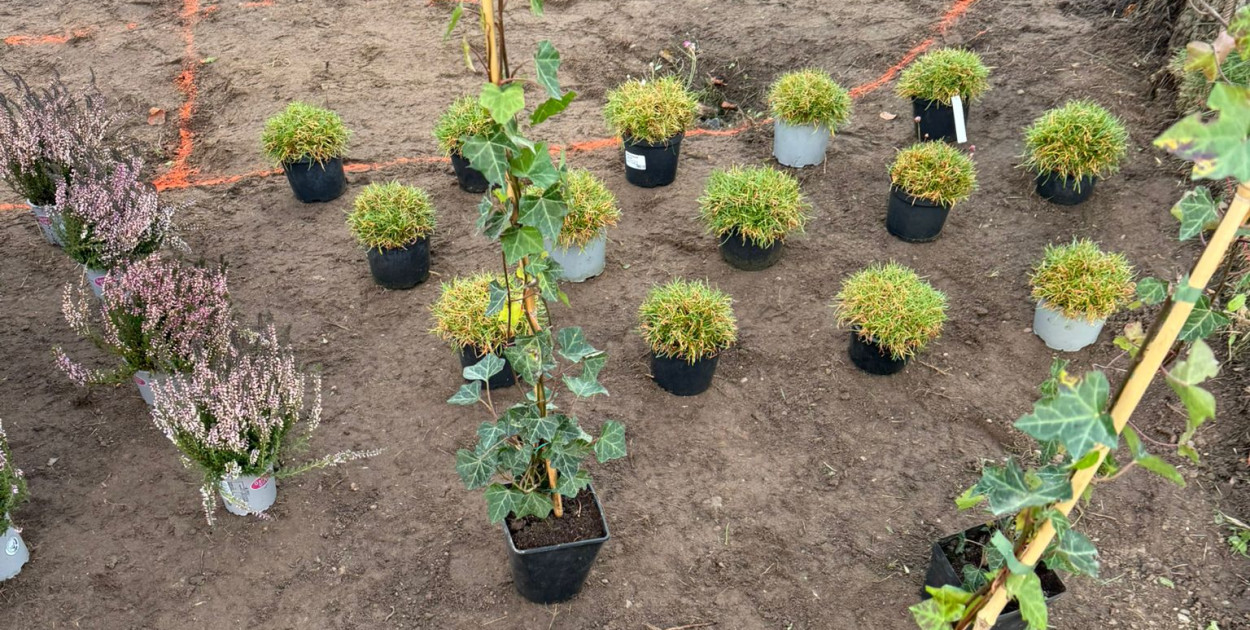 fot. UM Reda archiwum