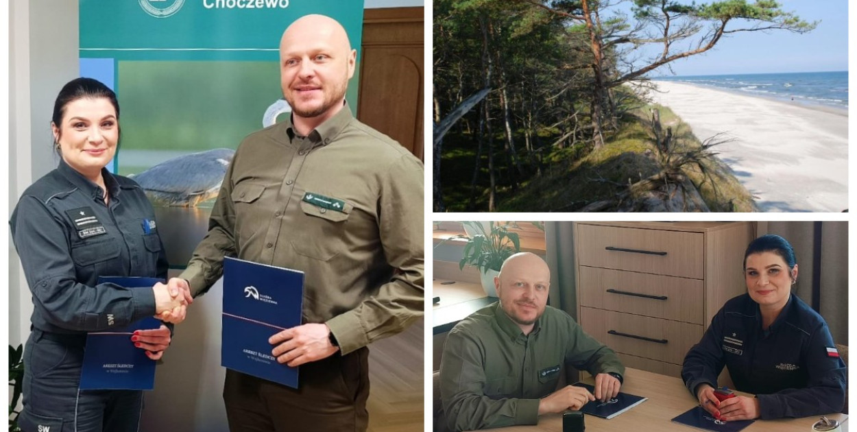 Osadzeni posprzątają lasy. Porozumienie aresztu z Nadleśnictwem