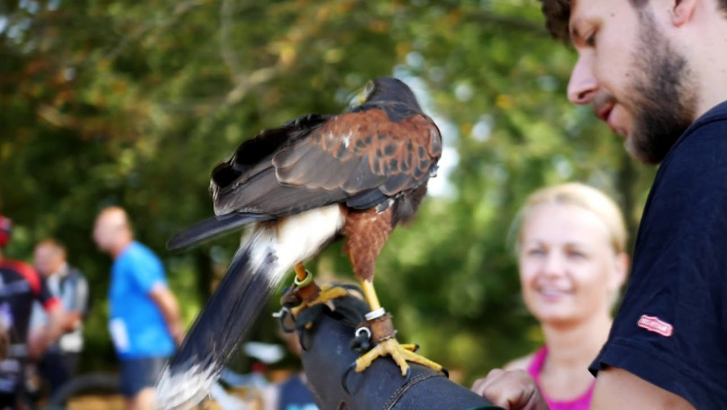 Zjednoczyli siły, by pomóc choremu Alanowi